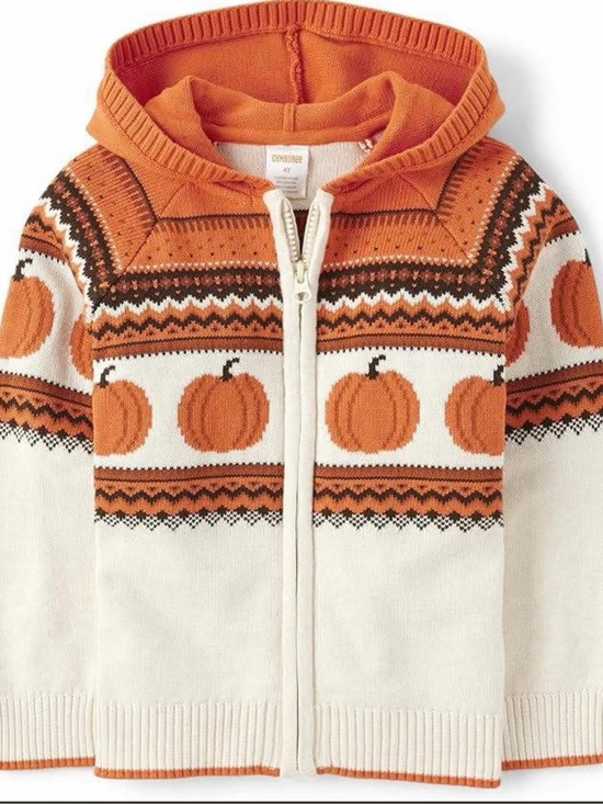 Gymboree Other - Gymboree Orange and Cream Pumpkin Zip-Up Hoodie Sweater. NWOT